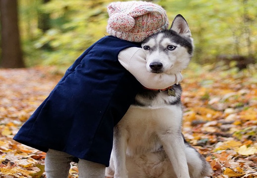 dog-hug
