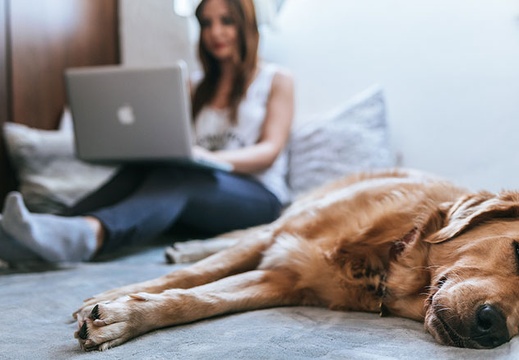 person-laptop-bed
